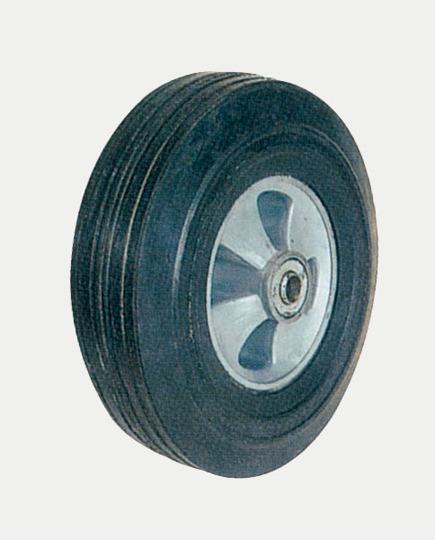 SR1007 10